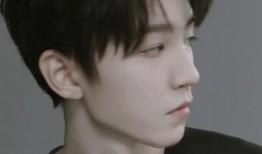 小八卦最新爆料王俊凯,小八卦曝惊人内幕，揭秘偶像背后的故事